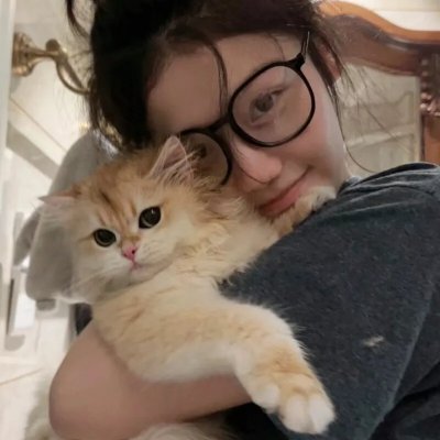 野探哈莉第四季